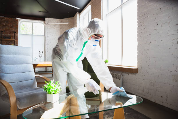 Why You Should Choose Our Mold Remediation Services in Bard College, NY